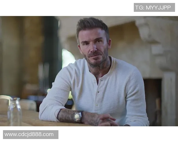 传奇飞翼贝尔:从草地王者到世界足坛的耀眼明星