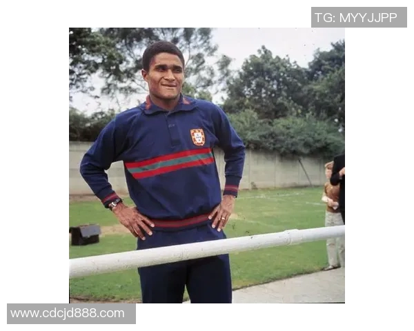 黑豹球星足球：赛场上的王者风采与传奇人生